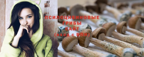 PSILOCYBIN Заволжск