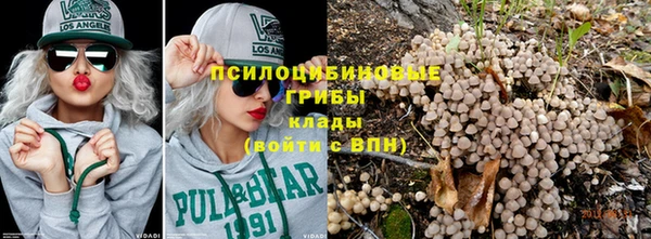 шишки Заволжье