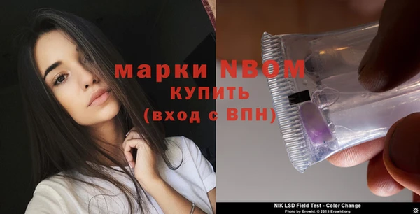 шишки Заволжье