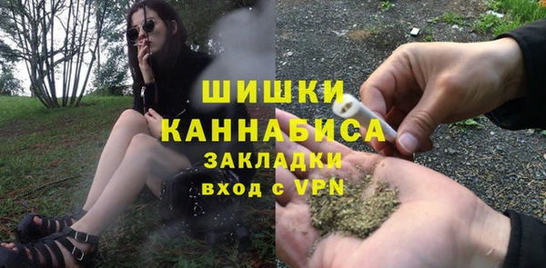 PSILOCYBIN Заволжск