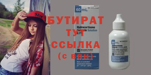 шишки Заволжье