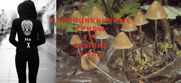 дживик Зерноград
