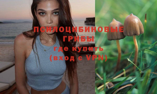 шишки Заволжье