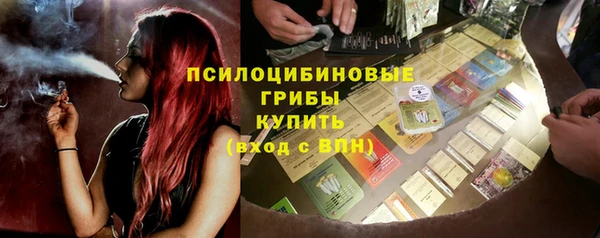 шишки Заволжье