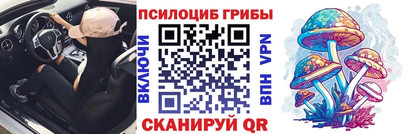 хочу наркоту  Зея  ОМГ ОМГ онион  Галлюциногенные грибы ЛСД 